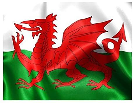 MikeBeechey1989's tweet photo. Starting #StDavidsDay celebrations early with the first reason i’m proud to be Welsh... The Flag! Because which other nation is rock and roll enough to print a DRAGON on their flag?! Instantly recognisable and standing out from the crowd! 🏴󠁧󠁢󠁷󠁬󠁳󠁿 #dragon #prideofwales @walesdotcom https://t.co/ANB6s3zWDL