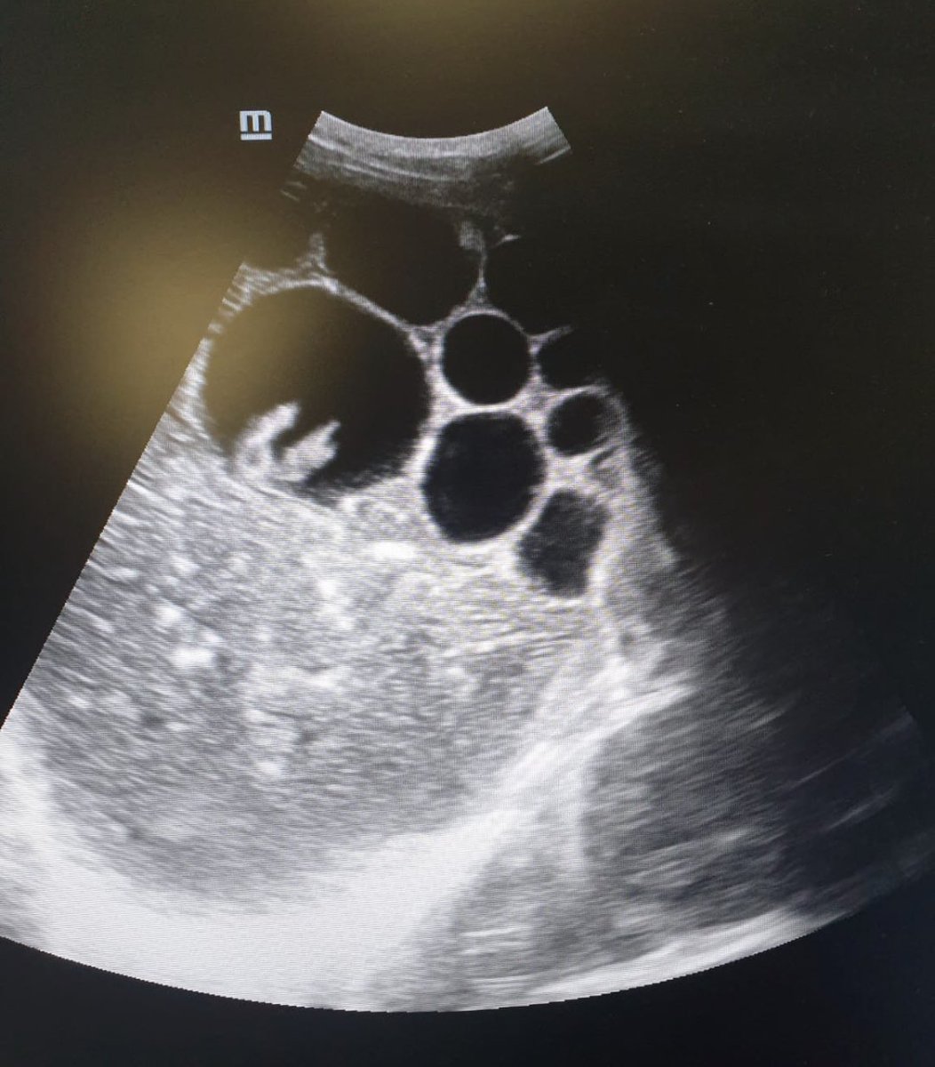 Anna Colclough tweet media