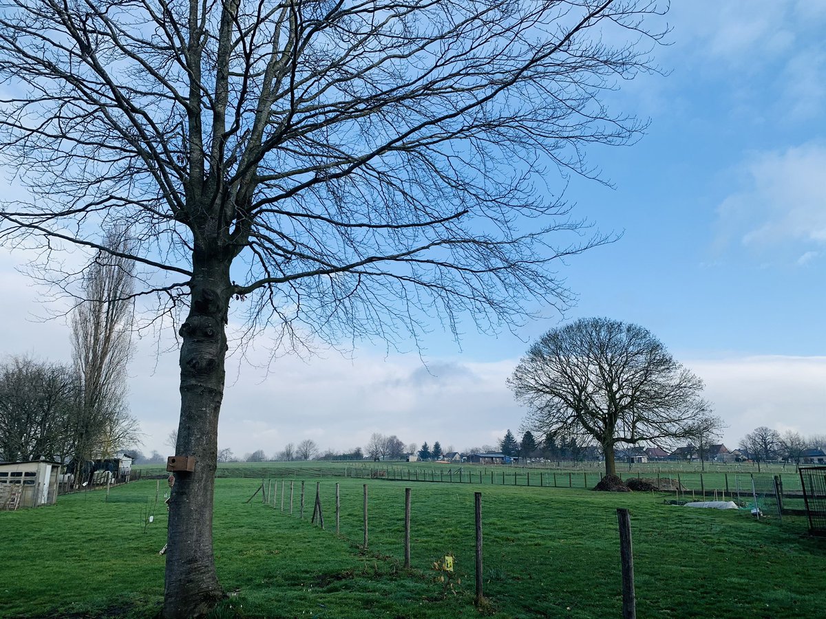 #vrtweer    Zottegem 10 uur 6 graden  , bewolkt en zonnig