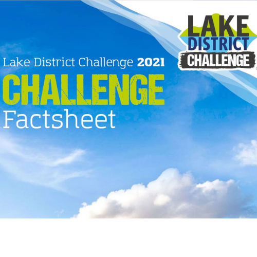 SAIFinsure tweet media