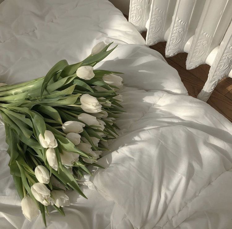 minigingerx's tweet photo. ˗ˏˋ ᴬᵇᵒᵘᵗ ᵐᵉ  ˎˊ˗

เอาไว้สำหรับรีวิวของที่เราซื้อฮะ ·͜·
☾🧂𐬹ꔣ 💬⊹ * https://t.co/fknsCZqT5J