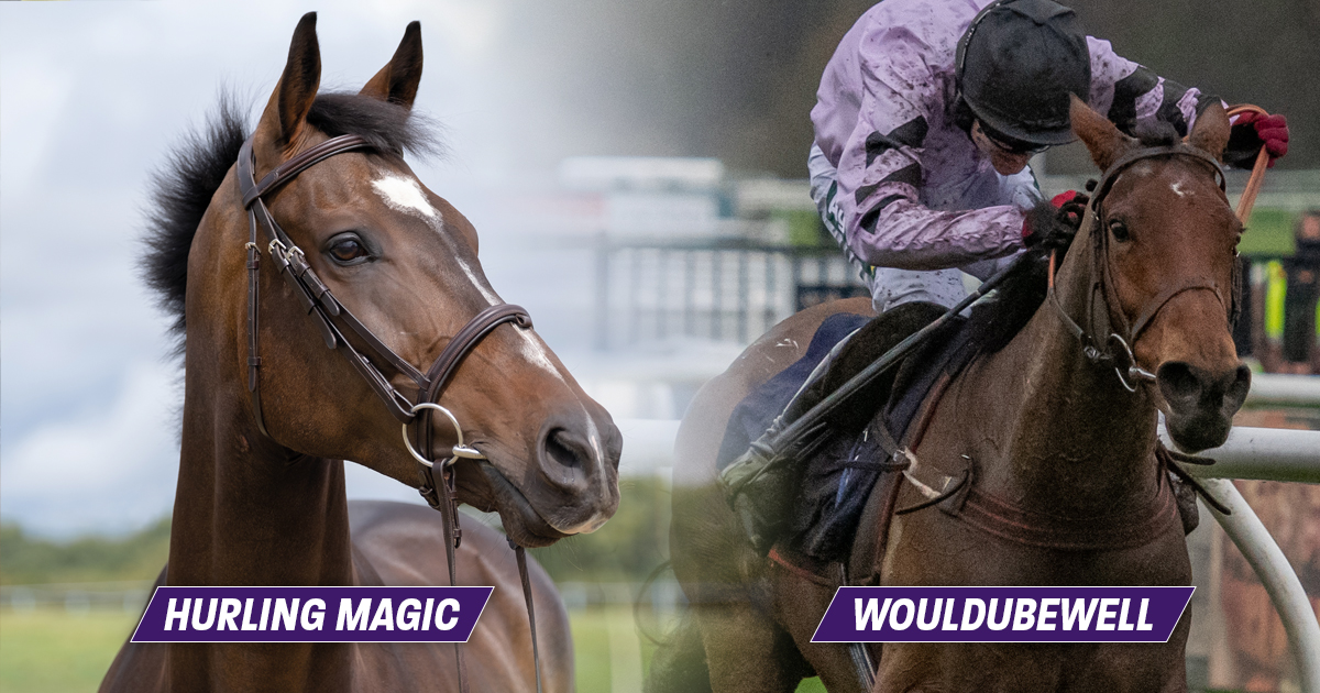 ownersgroupuk's tweet photo. Two declared Owners Group runners today, including a special day for Hurling Magic's owners, who is set to run for his owners for the first time.
WOULDUBEWELL (14:00 @ExeterRaces)
HURLING MAGIC (14:10 @WarwickRaces)
Good luck to all owners, trainers and jockeys.
#OwnersGroup https://t.co/6CnE6MGMuc