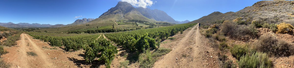 Not n bad spot this <a href="/olifantsberg/">Olifantsberg Wines</a>