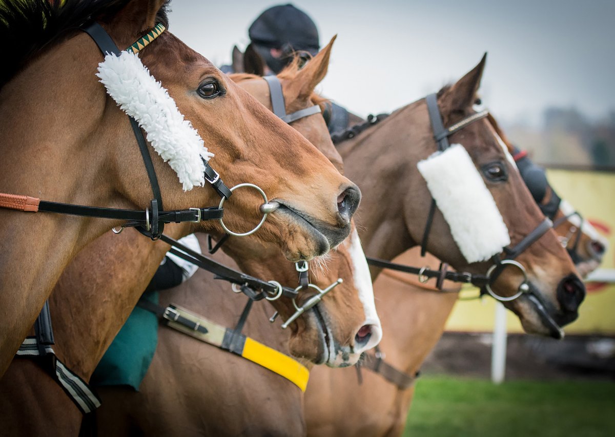 TheAvondhu's tweet photo. Claim that wind farm ‘will end equine industry’ https://t.co/m4iBiDKQrB @BWindAware https://t.co/SrEt850PrQ