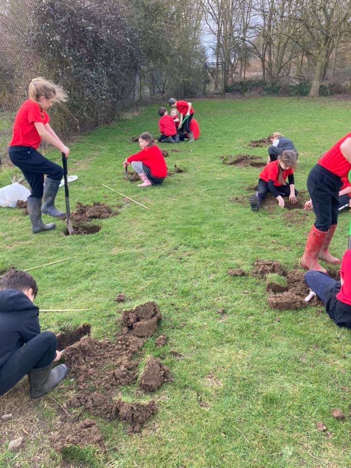 Brington C of E Primary School tweet media