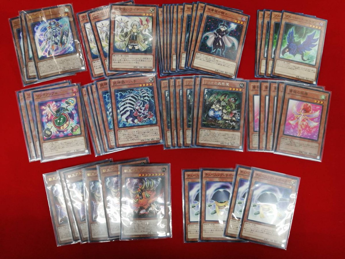 カードキングダム溝の口店 遊戯王 商品情報 人気のカードが沢山再入荷しました 薔薇の妖精 ティオの蟲惑魔 獣王アルファ 電脳堺姫ー娘々 鎖龍蛇ースカルデット チューニング サポーター 希望郷ーオノマトピア スクラップ エリア 魂のペンデュラム