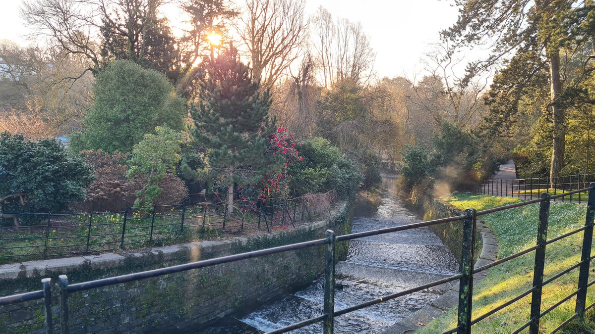 chrissoalarch8's tweet image. Few #solarsnaps from my @info_specific WFH commute. Colder than expected at Roath Park this morning!!