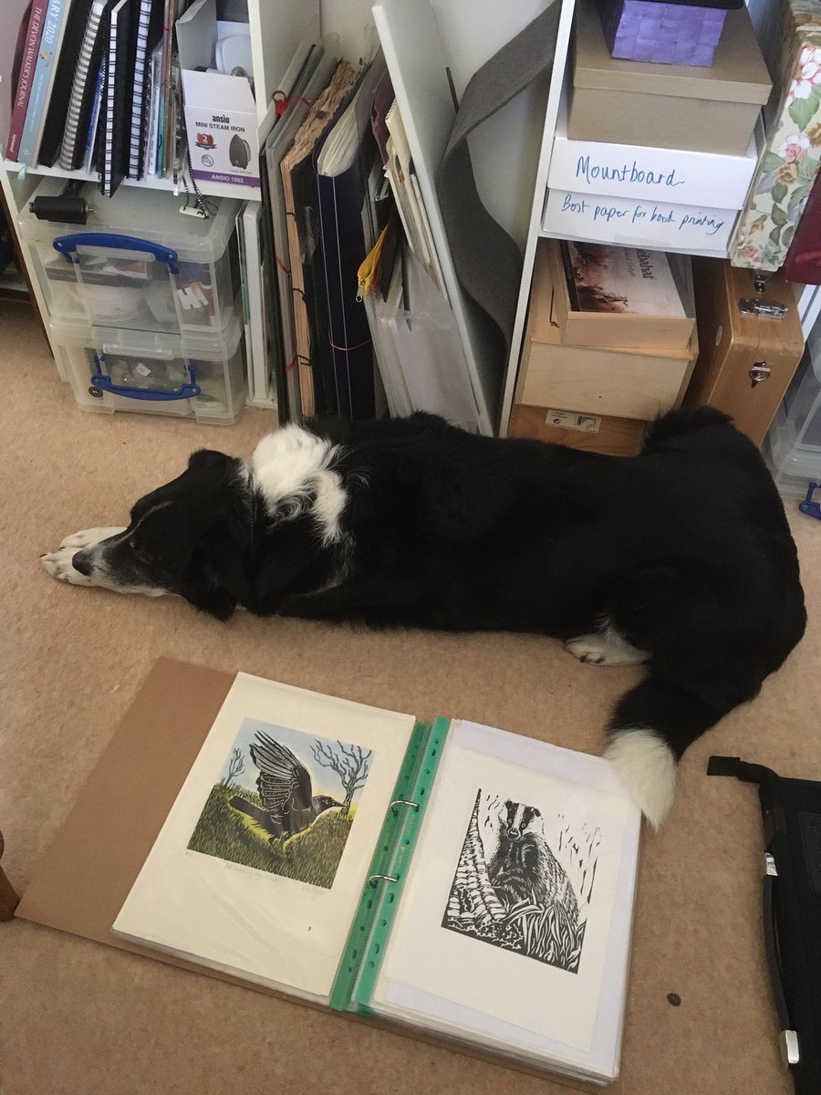 It’s always good to have help when you’re trying to do some sorting out 😂 Already getting ready for #devonopenstudios21 11th-26th September #devonartistnetwork @DevonArtistNet