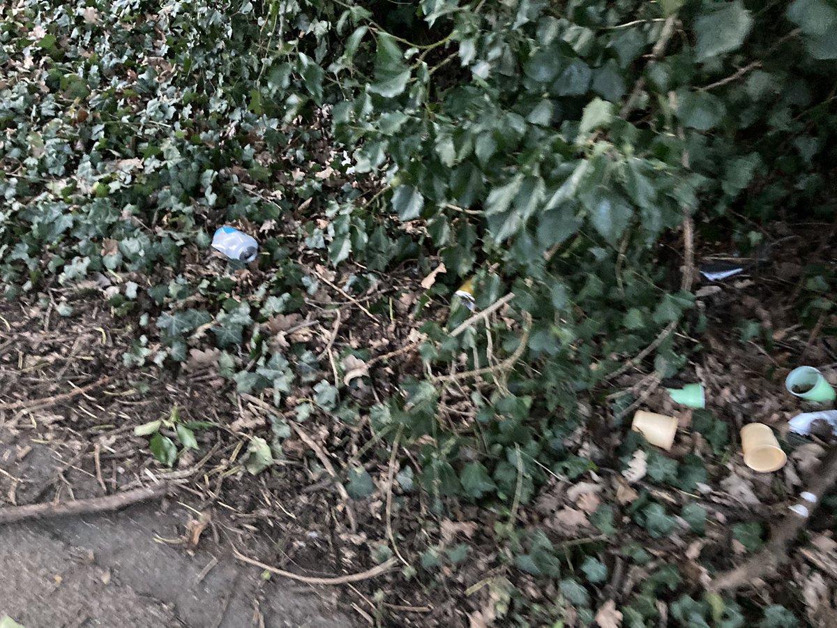 JackTheHat11's tweet image. Walked to Aylesford along river, I was shocked &amp;amp; totally disgusted by the rubbish &amp;amp; human excrement along the route. Where lorries are parked up and drivers are obviously throwing their bottles of p*ss and bags of sh*t over wall @TMBC_Kent 
#aylesford #kent #foreigndrivers