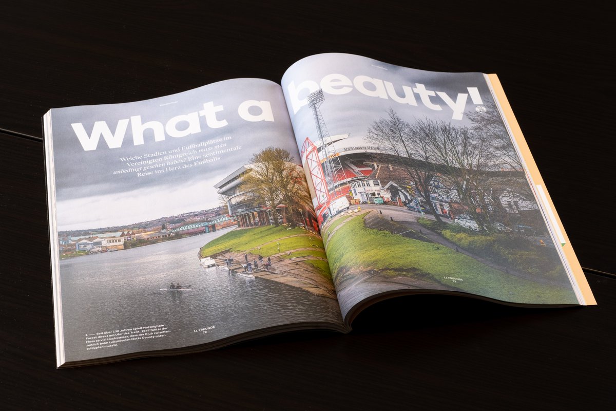 100GroundsBook tweet media