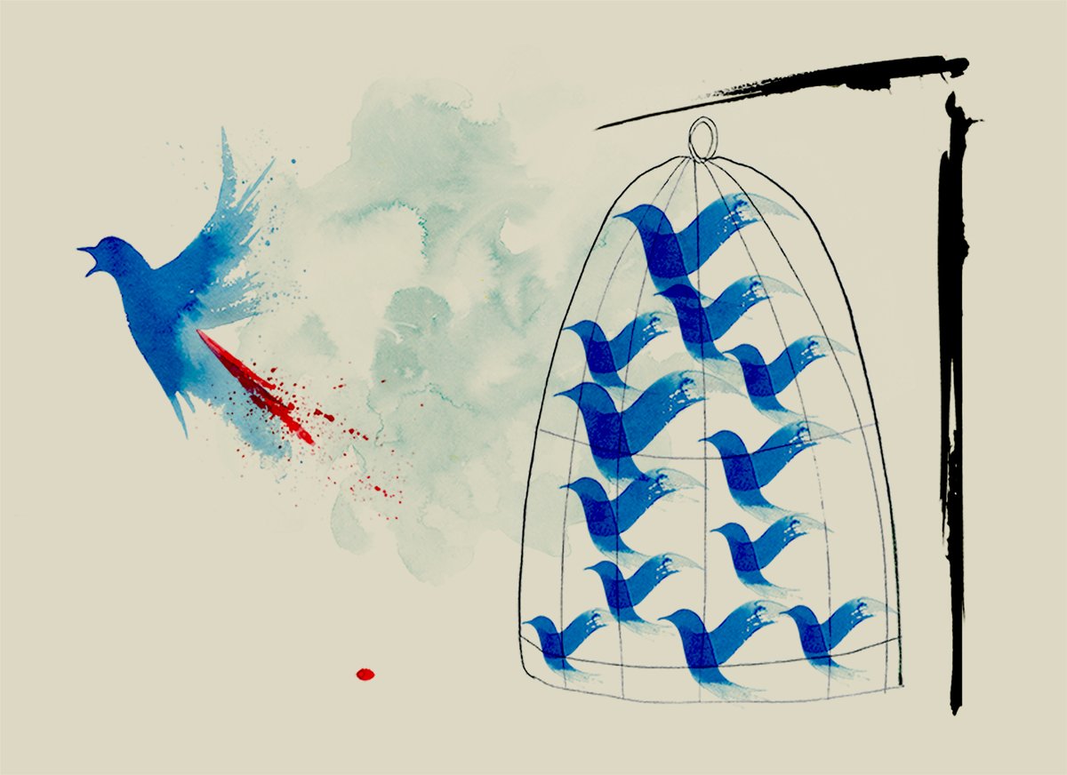 Ann Kiernan Annieillustrate Twitter