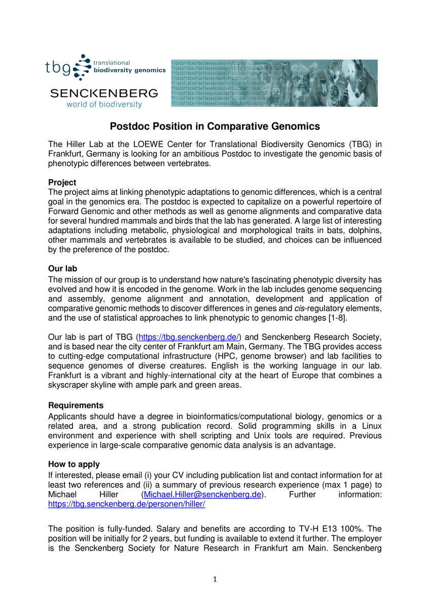 denbiOffice's tweet photo. Open #postdoc position in comparative #genomics at @hillermich Lab @Senckenberg in Frankfurt #Bioinformatics #Jobs . For more information see: https://t.co/BhEyLnUSIa https://t.co/9N7totDbS2