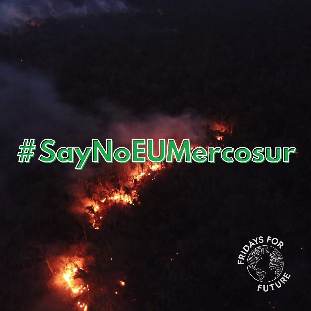 Wenn die Lunge abbrennt hilft auch kein Geld in den Taschen Frau <a href="/vonderleyen/">Ursula von der Leyen</a> 

#SayNoEUMercosur