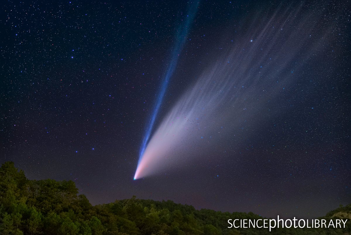Комета в небе. Комета вблизи. С 2020 f3 neowise. Где сейчас летит комета. Комета в россии.