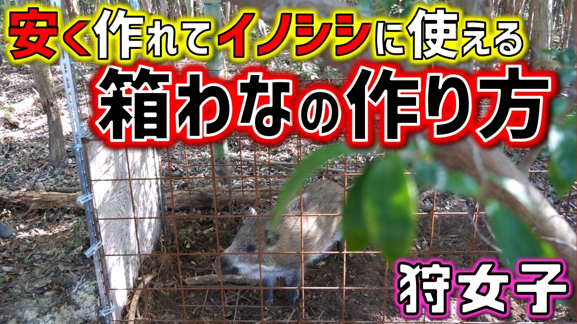 イノシシ捕獲用の低コスト簡易型箱わな