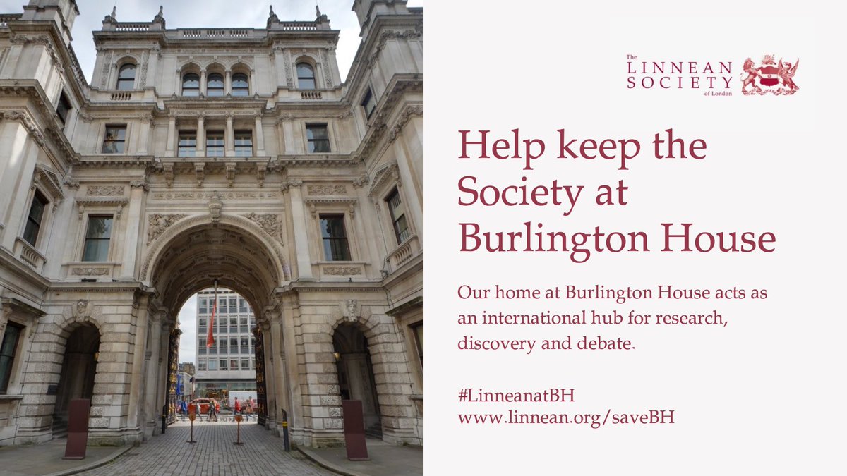 📢 Help keep the Society at Burlington House! Due to unaffordable and rapidly rising rent, the Society is at risk of being priced out of its home. Today, we join our neighbours in a campaign to find an affordable arrangement with the Government. Thread ⬇️ #LinneanAtBH 1/8