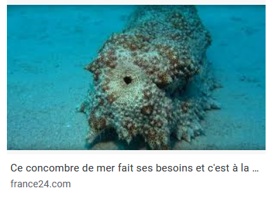 Ronfleks's tweet image. 2 salles 2 ambiances