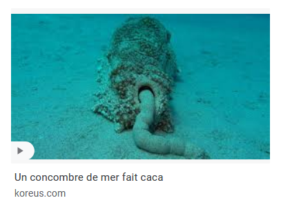 Ronfleks's tweet image. 2 salles 2 ambiances