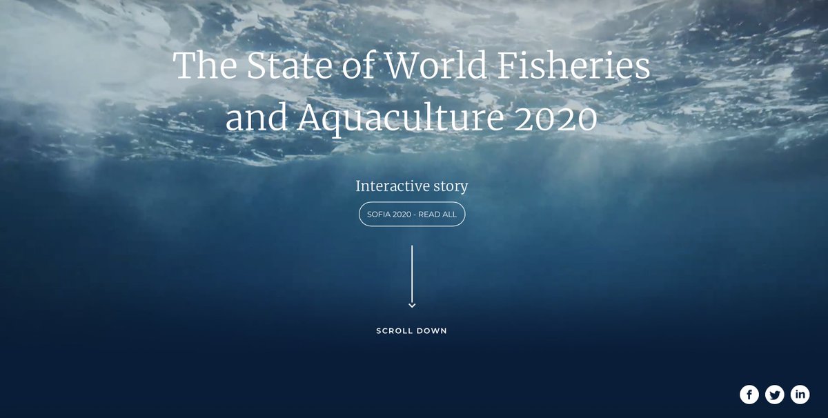 Manu_FAO's tweet image. It is worth RT this, because of the nice and carefully selected infographics: The fully interactive @FAO State of World Fisheries and Aquaculture Report (#SOFIA2020)👉bit.ly/3uuFuex