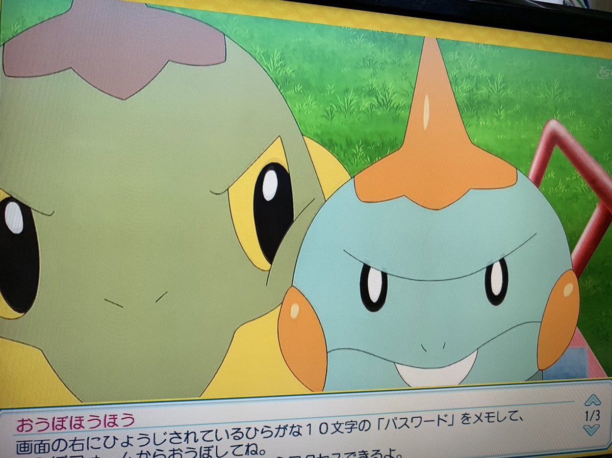 21年2月26日 アニメ ポケットモンスターで ナエトル が話題に トレンドアットtv