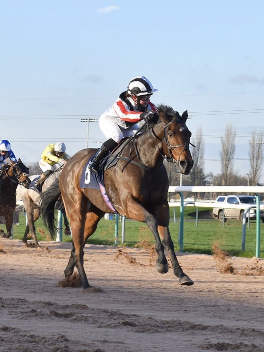sfracingclubuk's tweet photo. Great to see #Fieldsman back running @WolvesRaces today. Best of luck to @mollie_phillip from all the owners https://t.co/jlBI0Pas5E