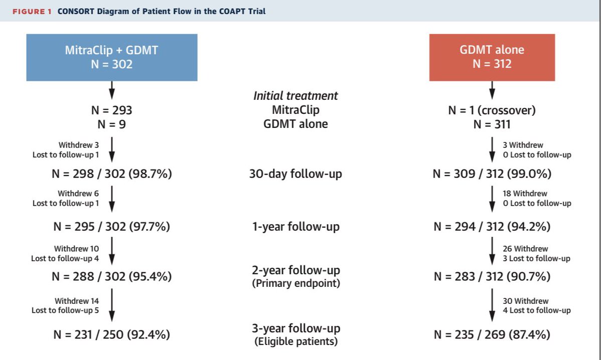 Bertrand Mukete (BertrandMukete) Twitter