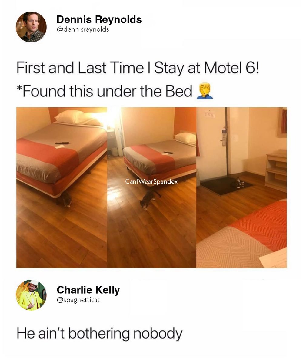 CanIWearSpandex's tweet image. 