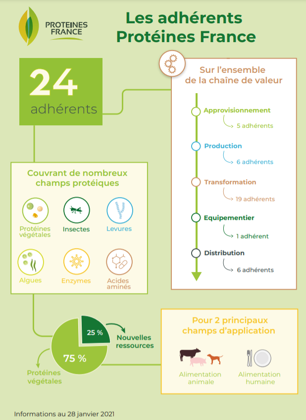 Qui sont les 2️⃣4️⃣ adhérents de Protéines France, le consortium français d’#entreprises ayant pour ambition de fédérer et de catalyser le développement des #protéines végétales et nouvelles ressources ?
#proteins #PlantBasedFoods #agtech #insects #algae