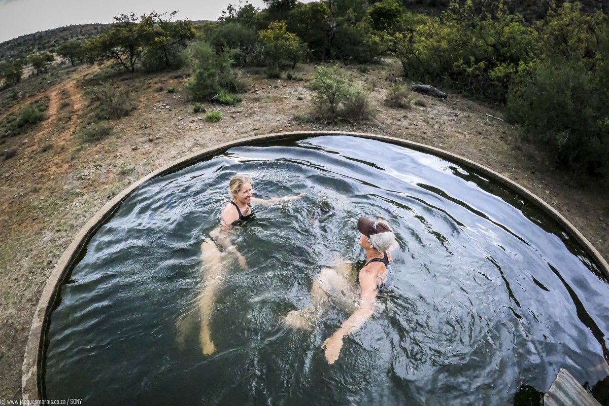 Mtb_routes's tweet image. Next @GiantRSA #MTB #TrailBlog! Get your #BaviaansRiver #gravel here - MTBRoutes.co.za mtbroutes.co.za/curated-mtb-tr… via @Mtb_routes 

@Squirtlube_SA @Diverge_info @OZone_africa  @ECapeMtb @ebike_touring @Backyard_EC  @addotourism

(c) @JacqMaraisPhoto 

#LivGiant #RideGiant