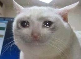 Help me diyorum ablacım neden anlamıyorsun ya #WHOSaveTurkishStudents