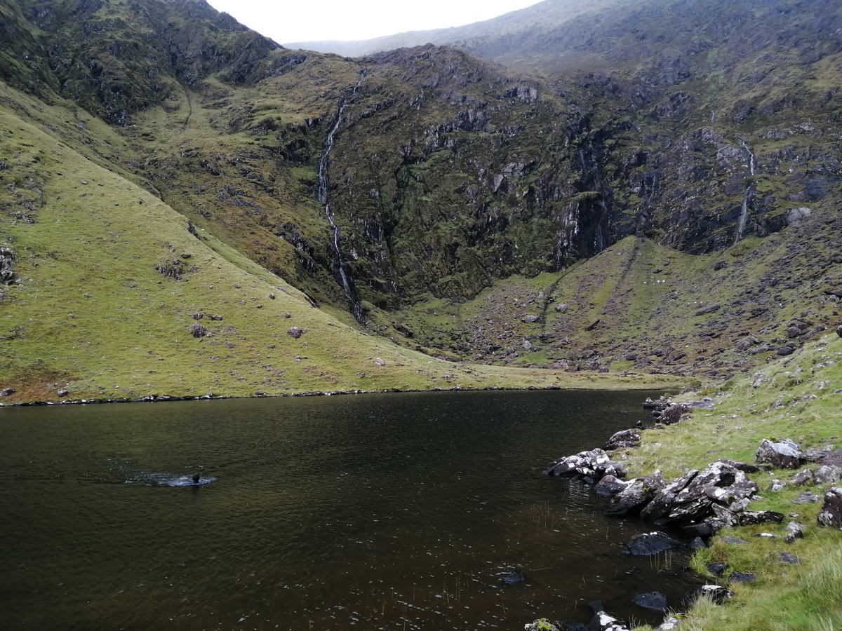 Wild Water Adventures tweet media