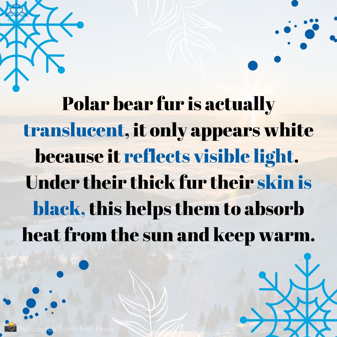 The Frozen Ark Project tweet media