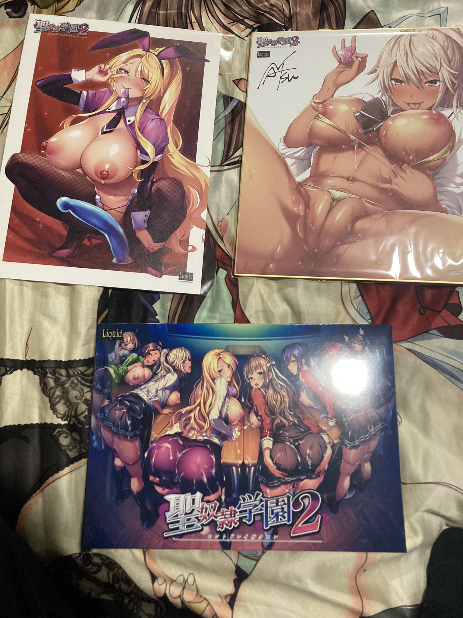 発売延期になった聖奴隷学園2が届いた😍 今週はシコりまくりけって〜い♪ #聖奴隷学園2 https://t.co/kN14TDGUNI