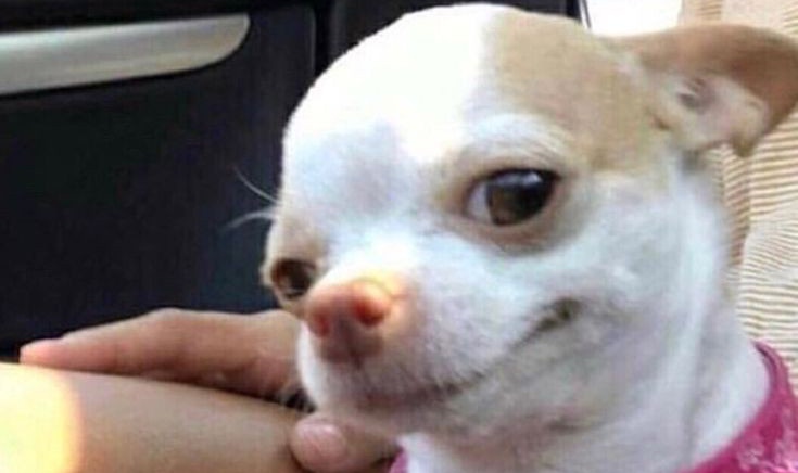 imag_____e's tweet image. มากราบกูค่ะ