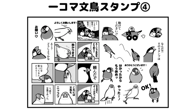 今回はやばい文鳥多めです 