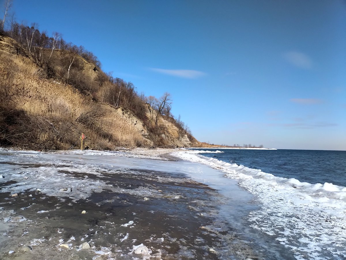 Jill Dempsey tweet media