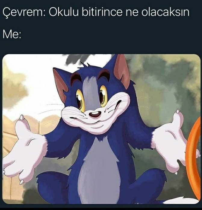 DOĞRU ;) #WHOSaveTurkishStudents