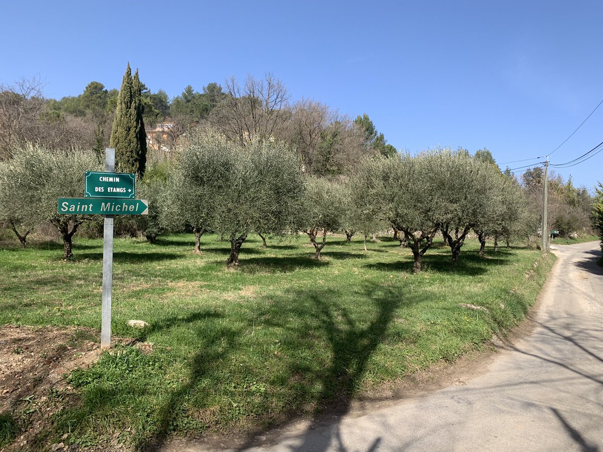 draggi's tweet image. #Interco printanière Marseille —&amp;gt; Antibes