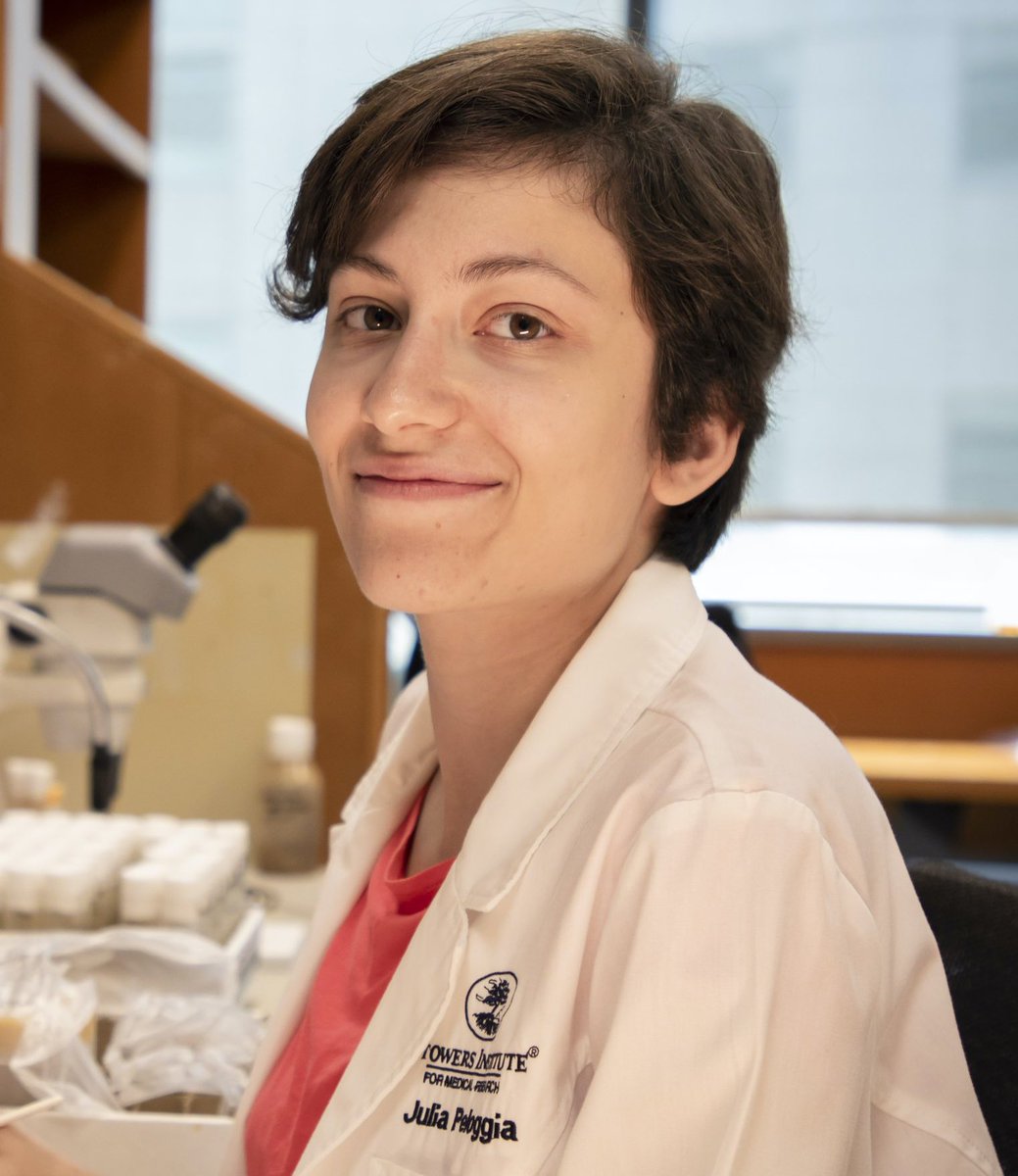 ZebrafishRock's tweet photo. Our feature today is on Julia Peloggia (@jupeloggia) who is a Predoc in @LabPiotrowski @GSSIMR. Julia’s interests involve tissue plasticity and microscopy with a focus on the #zebrafish lateral line. For her latest work, check out https://t.co/TnboLwh4Od. #ZFishFollowFriday. https://t.co/iPsXotPSUj