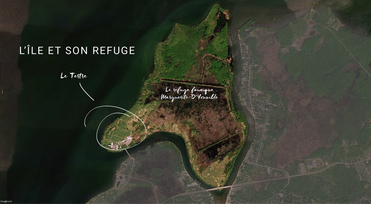 Héritage St-Bernard tweet media