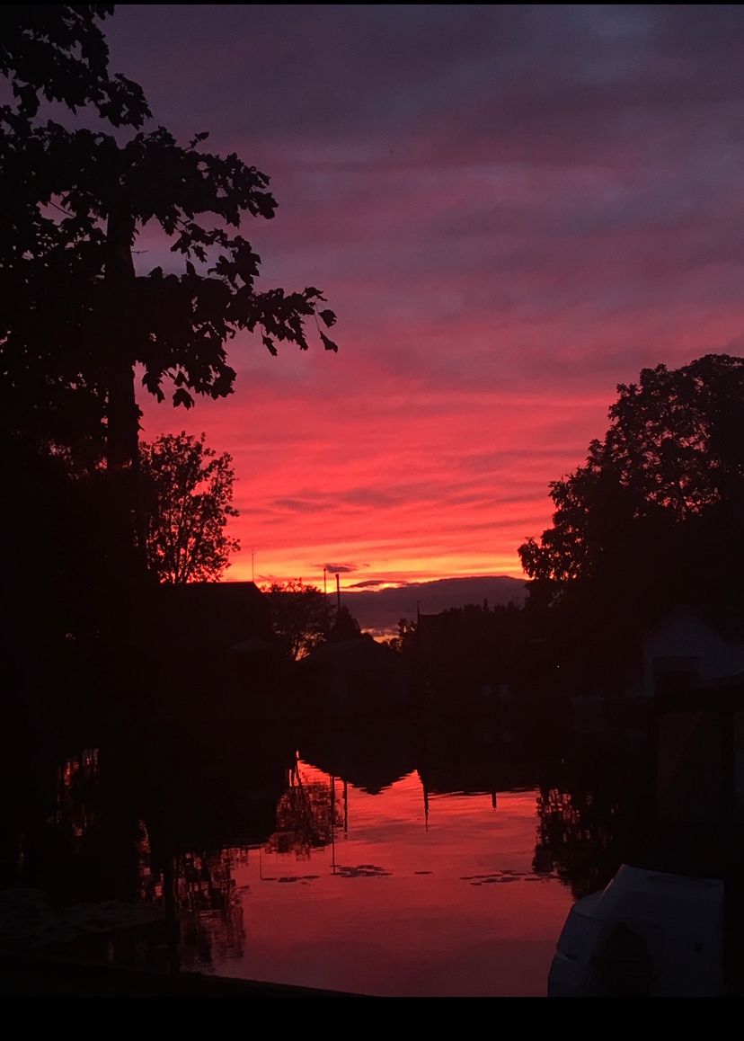 LPWBR's tweet photo. #FlashbackFriday
📷: Amanda Houze
•
•
•
•
#longpointbiosphere #longpointbeach #nature #naturephotography #wildlife #wildlifephotography #ecosystem #biodiversity #conservation #sustainability #spottedinlongpoint #natureinnorfolk #exploretheoutdoors https://t.co/OvEmHA1Khe