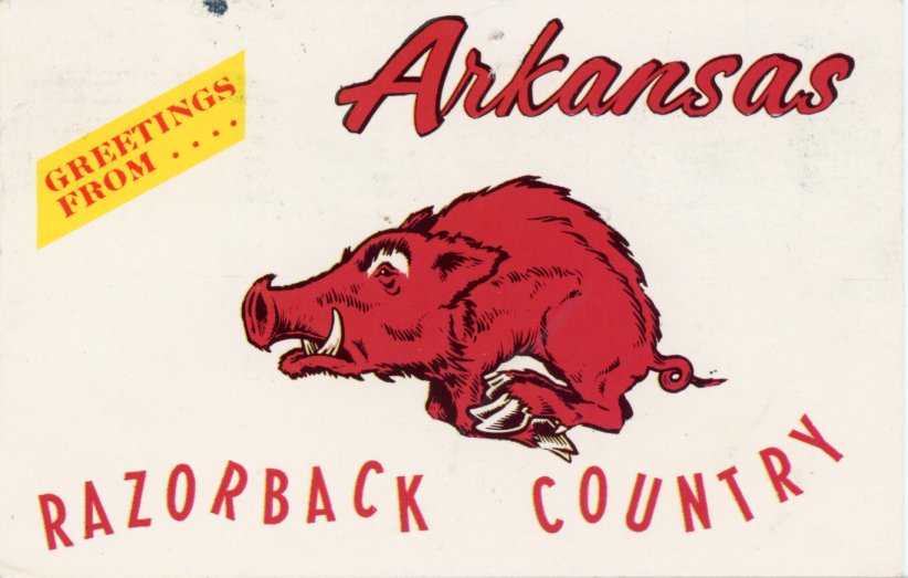 My voice came back so I am in condition to start yelling again.