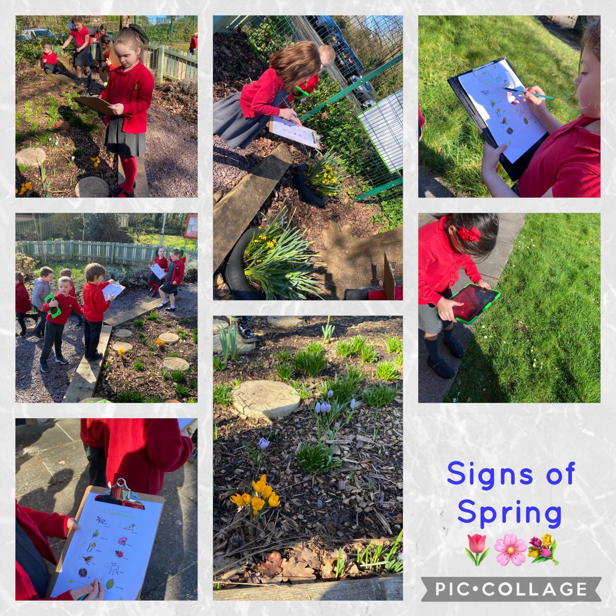 UndySchool's tweet image. What a beautiful day to search for signs of Spring 🌷🌸💐 #UPSY1JM #Seizetheseason #Springisonitsway