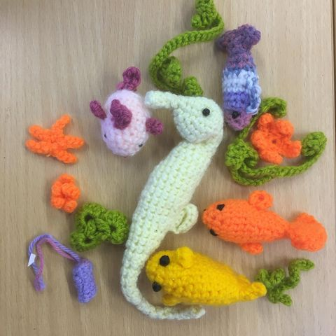 Bedfordshire Open Door tweet media