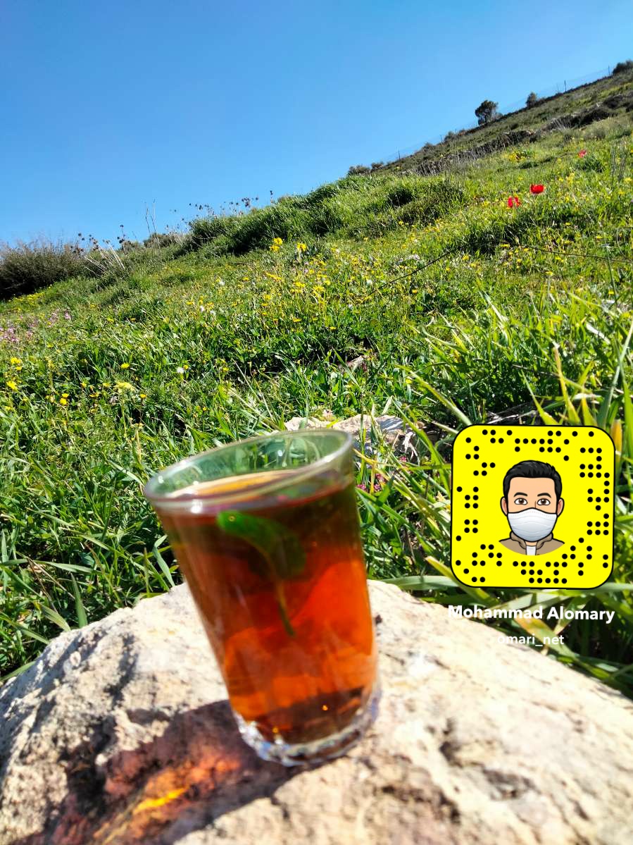 omari_net's tweet photo. صور للربيع اليوم الجمعة من أمام منزلنا😍🇯🇴👍❤
#الأردن #اربد https://t.co/etixUM0AQY