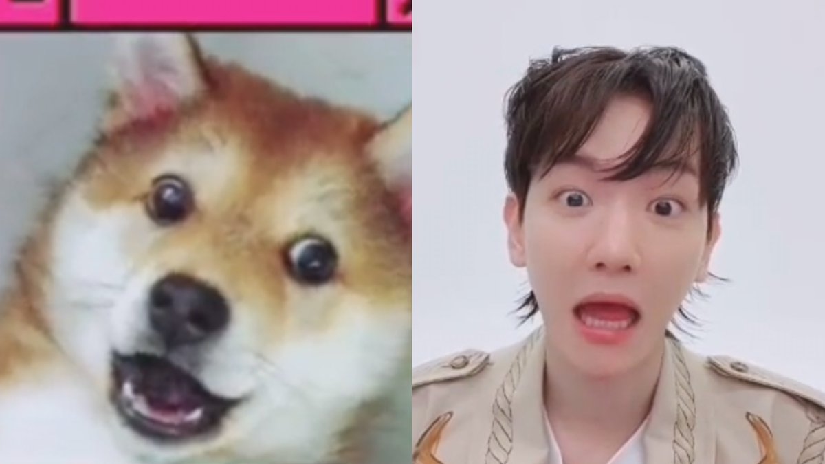 bhyunsource's tweet photo. baekhyun imitation the puppies expressions 🥺 https://t.co/cM1mwwo8PM
