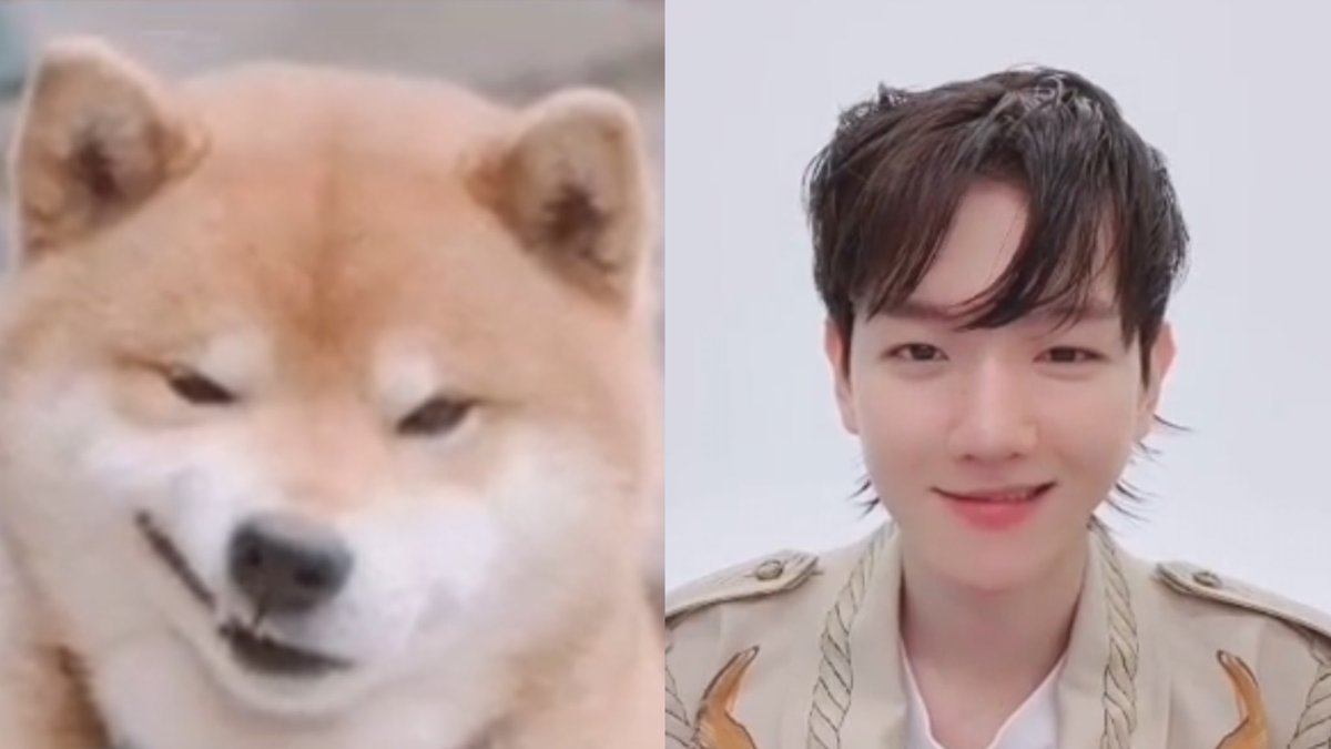 bhyunsource's tweet photo. baekhyun imitation the puppies expressions 🥺 https://t.co/cM1mwwo8PM