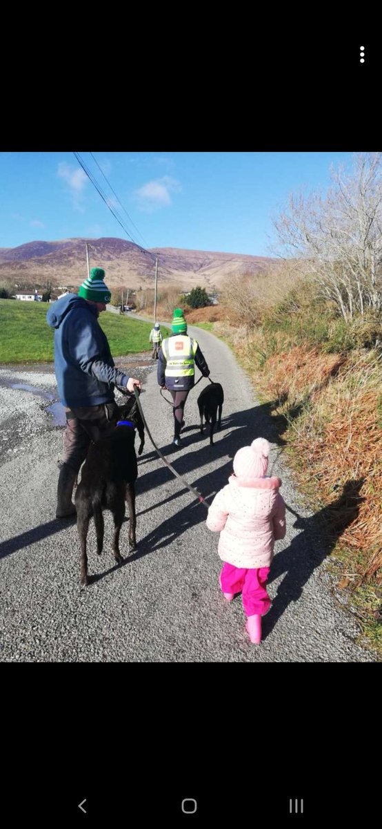 My 2year daughter insisted on having a dog to walk like the others and insisted she got the biggest dog his a 78pound sapling 
#startthemyoung #cantbeatbreeding
#behindthetrack #ourgreyhoundsourlives