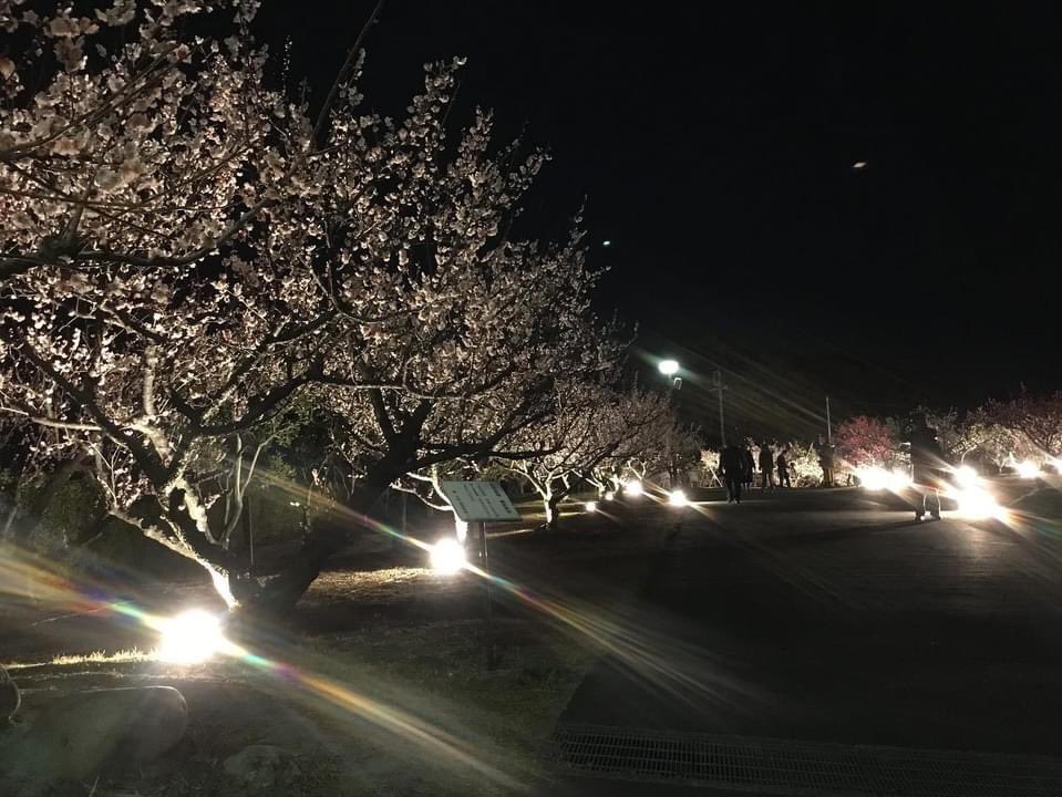 佐布里緑と花のふれあい公園 Twitter Search Twitter