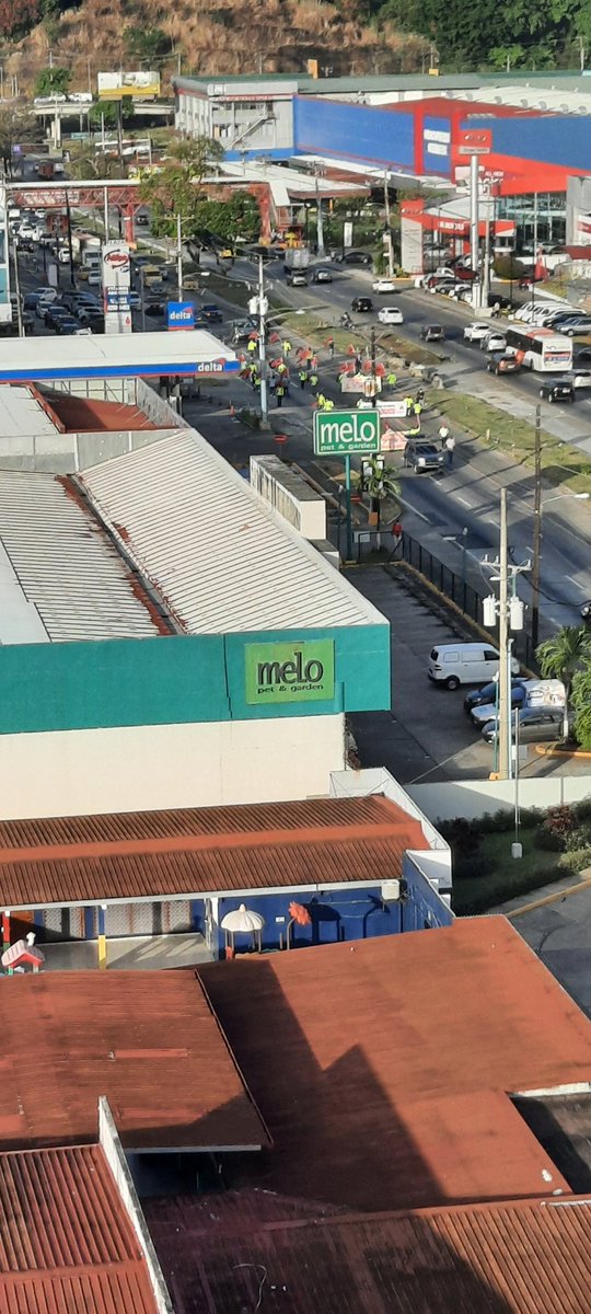 Gilberto tweet media